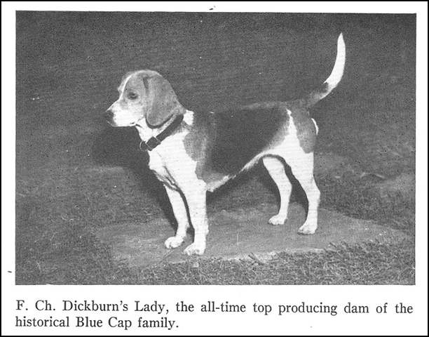 Dickburn Lady