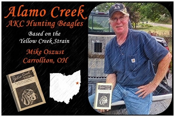 Alamo Creek Kennel - Yellow Creek Hunting Beagles